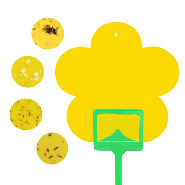 20 X Sticky Trap Fruit Fly Gnat Trap Yellow Sticky Bug Trap For Outdoor Indoor 20 X Sticky Trap Fruit Fly Gnat Trap Yellow Sticky Bug Trap For Outdoor Indoor